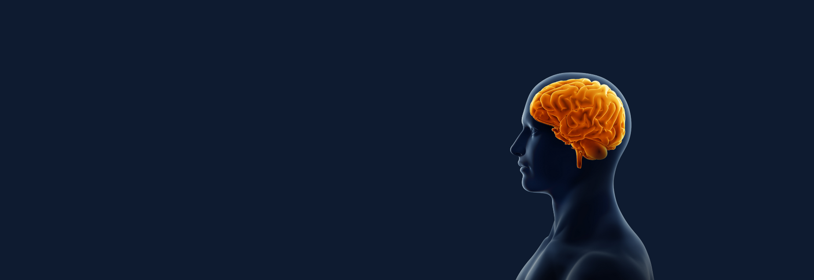 Dr. Sruthi Reddy – Advanced Neurology Care in Hyderabad Dr. Sruthi Reddy offering advanced neurology care at Keyan Clinics in Hyderabad
