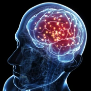 Dr. Sruthi Reddy – Consultant in Neurological Health Professional photo of Dr. Sruthi Reddy, neurology expert