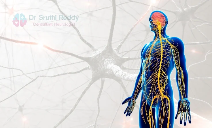 Doctor examining a patient with peripheral nervous system disorder symptoms.